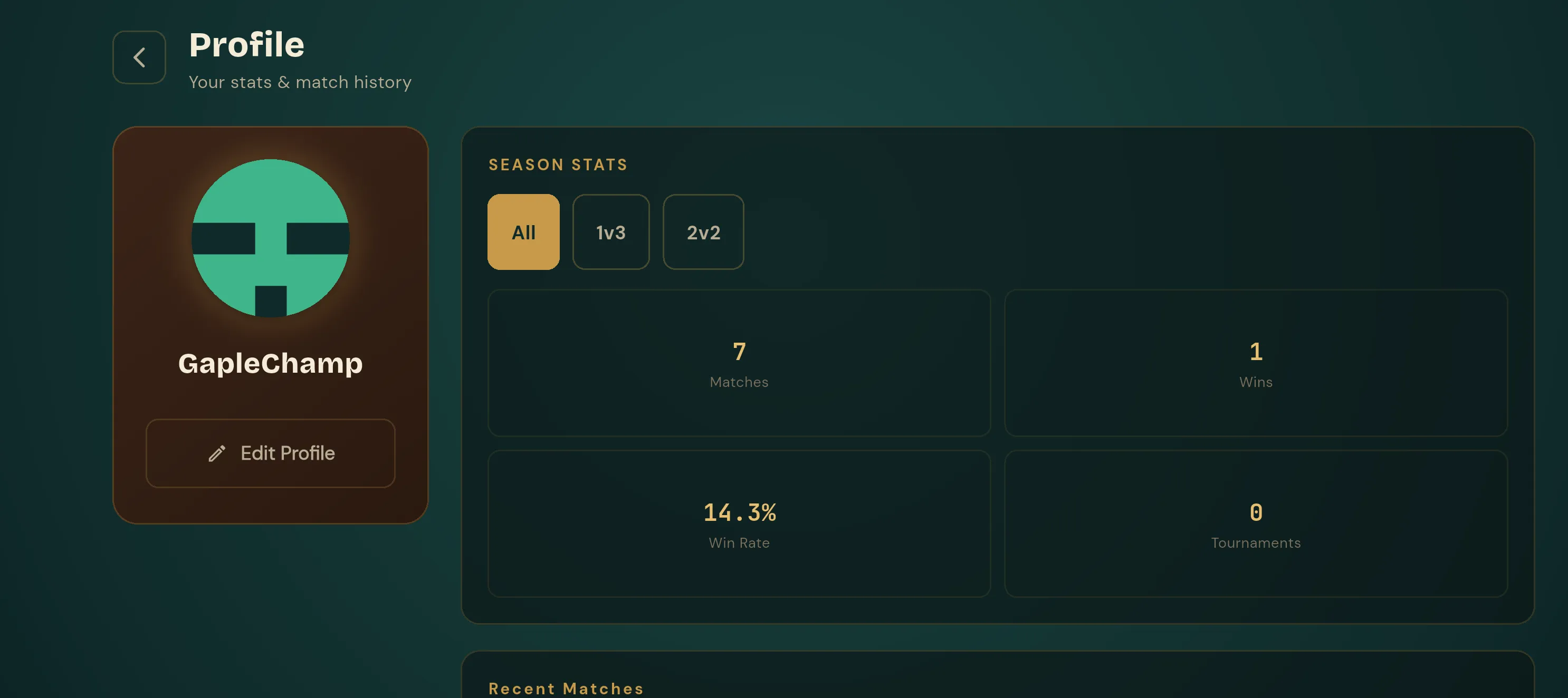 Profil pemain Gaple dengan statistik musim, jumlah pertandingan, dan persentase menang.